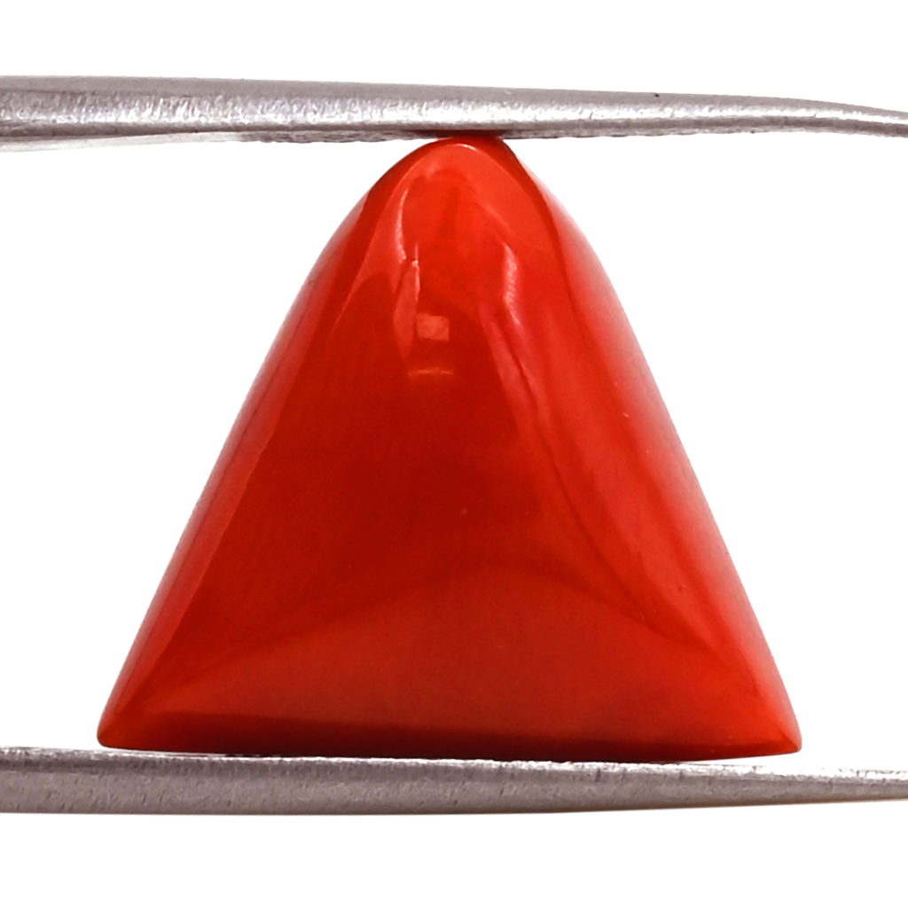 Triangle Italian Red Coral (Moonga) 14X16 MM 10.50 Carat