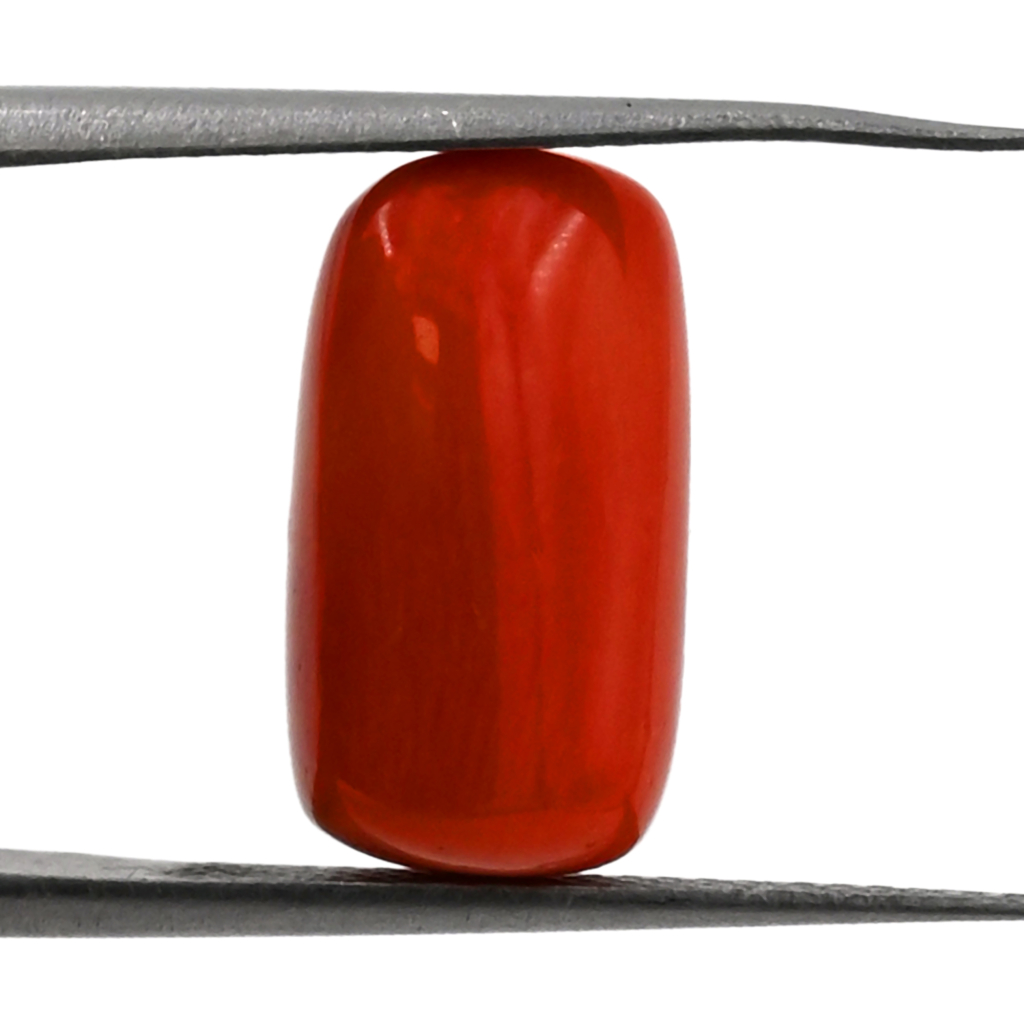 Natural Italian Red Coral (Moonga) 7.80X15.70 MM 7.90 Carat