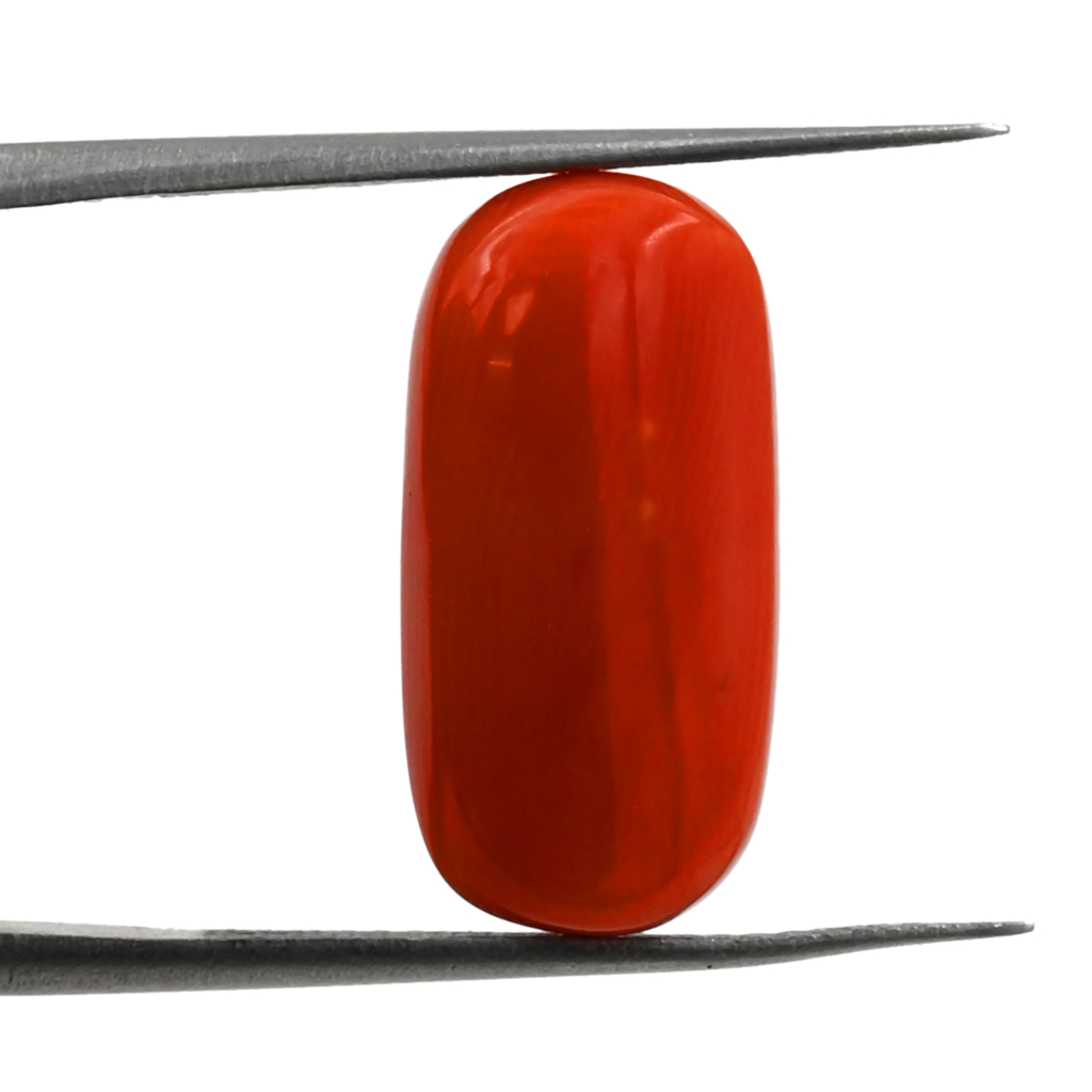 Natural Italian Red Coral (Moonga) 7.60X15.40 MM 6.60 Carat