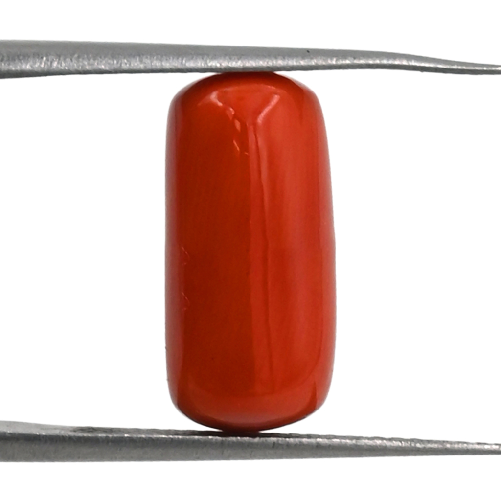 Natural Italian Red Coral (Moonga) 7.40X15.50 MM 7.8 Carat