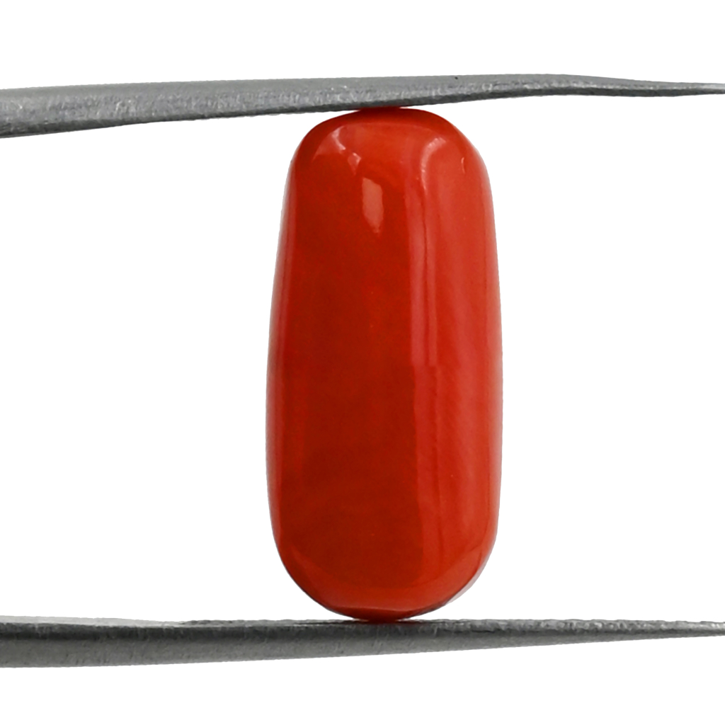 Natural Italian Red Coral (Moonga) 8X17 MM 6.40 Carat