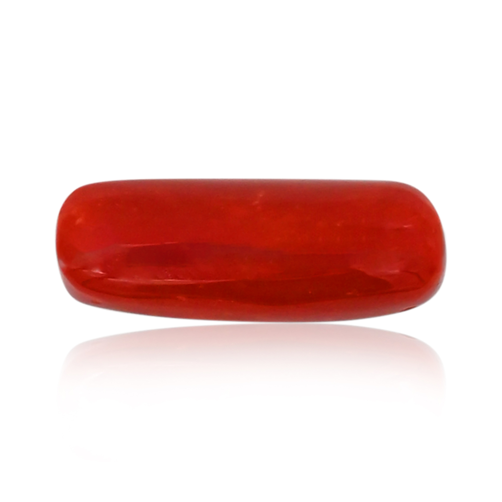 Natural Italian Red Coral (Moonga) 7.50X20.50 MM 7.60 Carat