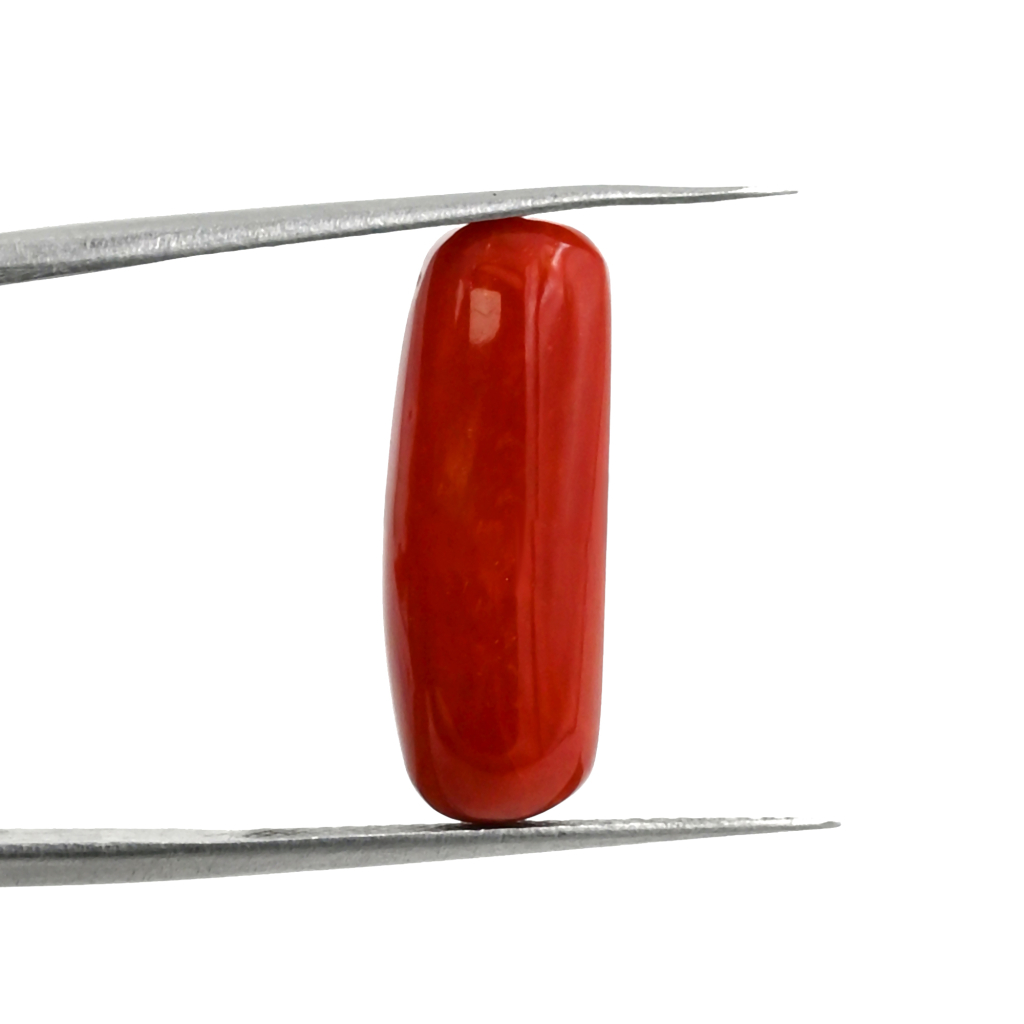 Natural Italian Red Coral (Moonga) 7.50X20.50 MM 7.60 Carat