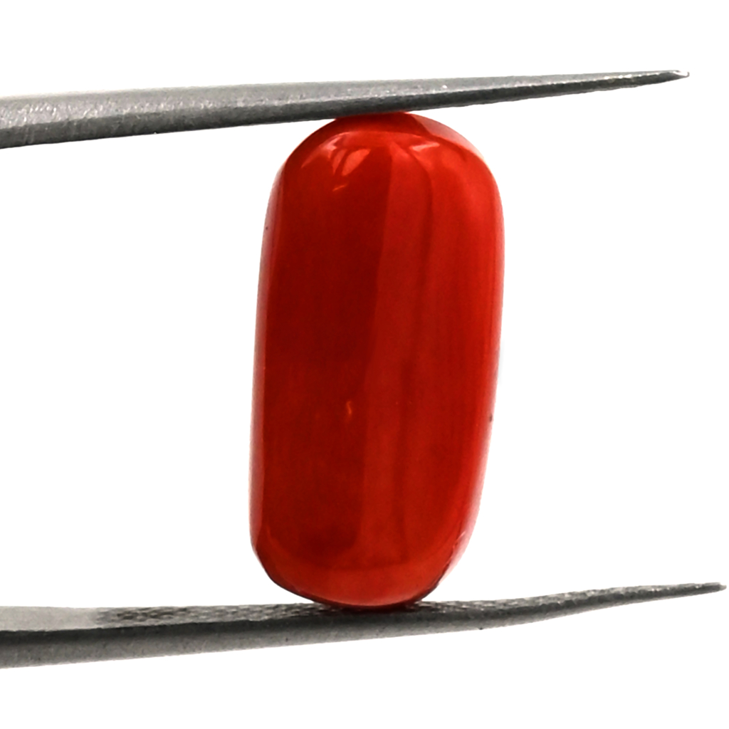 Italian Red Coral (Moonga)  8X15MM 7.90 Carat