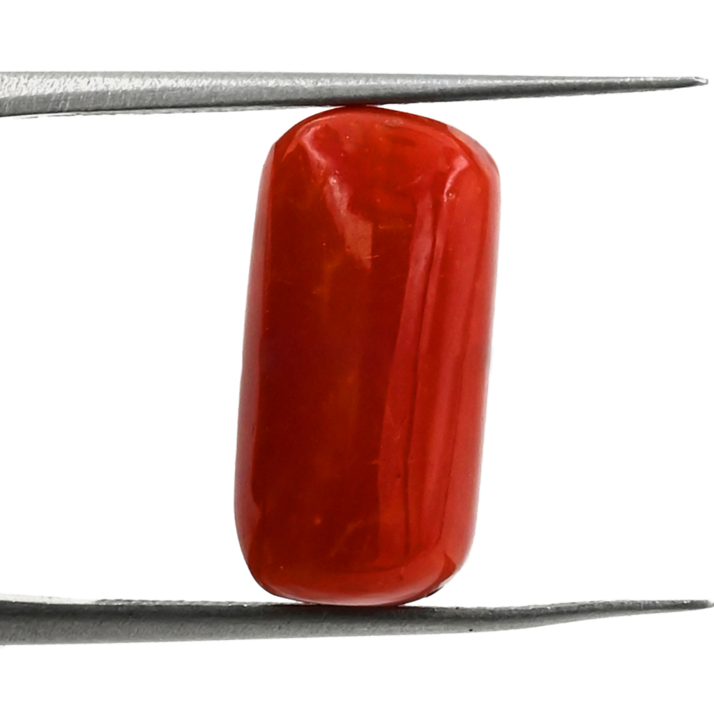 Italian Red Coral (Moonga) 9X18MM 9.30 Carat