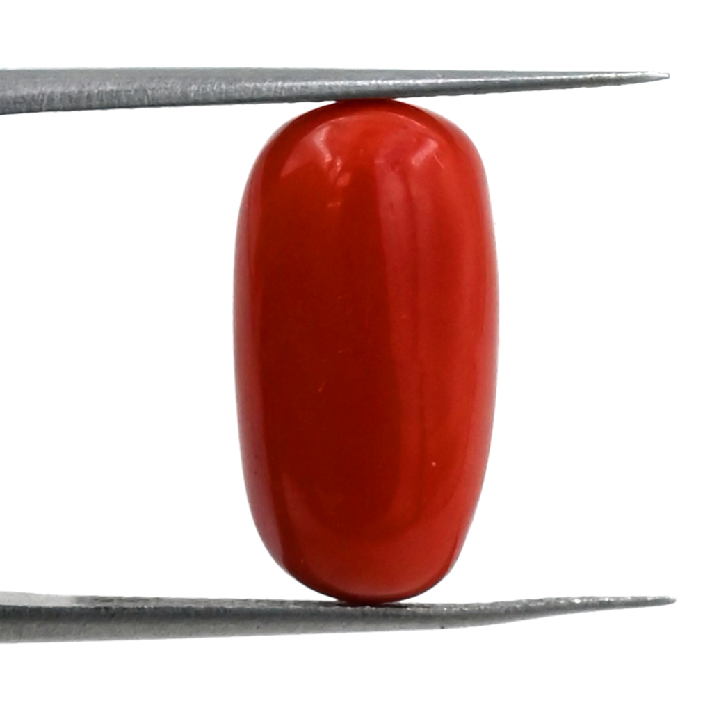 Italian Red Coral (Moonga) 8.50X16.30 MM 7.90 Carat