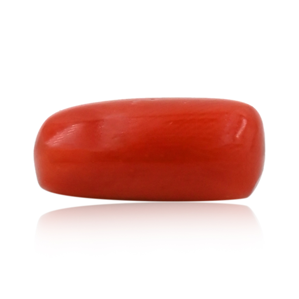 Italian Red Coral (Moonga) 8X16MM 8.20 Carat