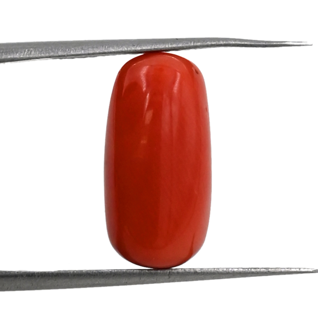 Italian Red Coral (Moonga) 8X16MM 8.20 Carat