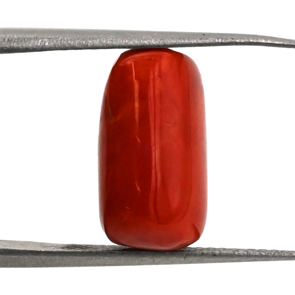 Italian Red Coral (Moonga)  8X14MM 7.30 Carat