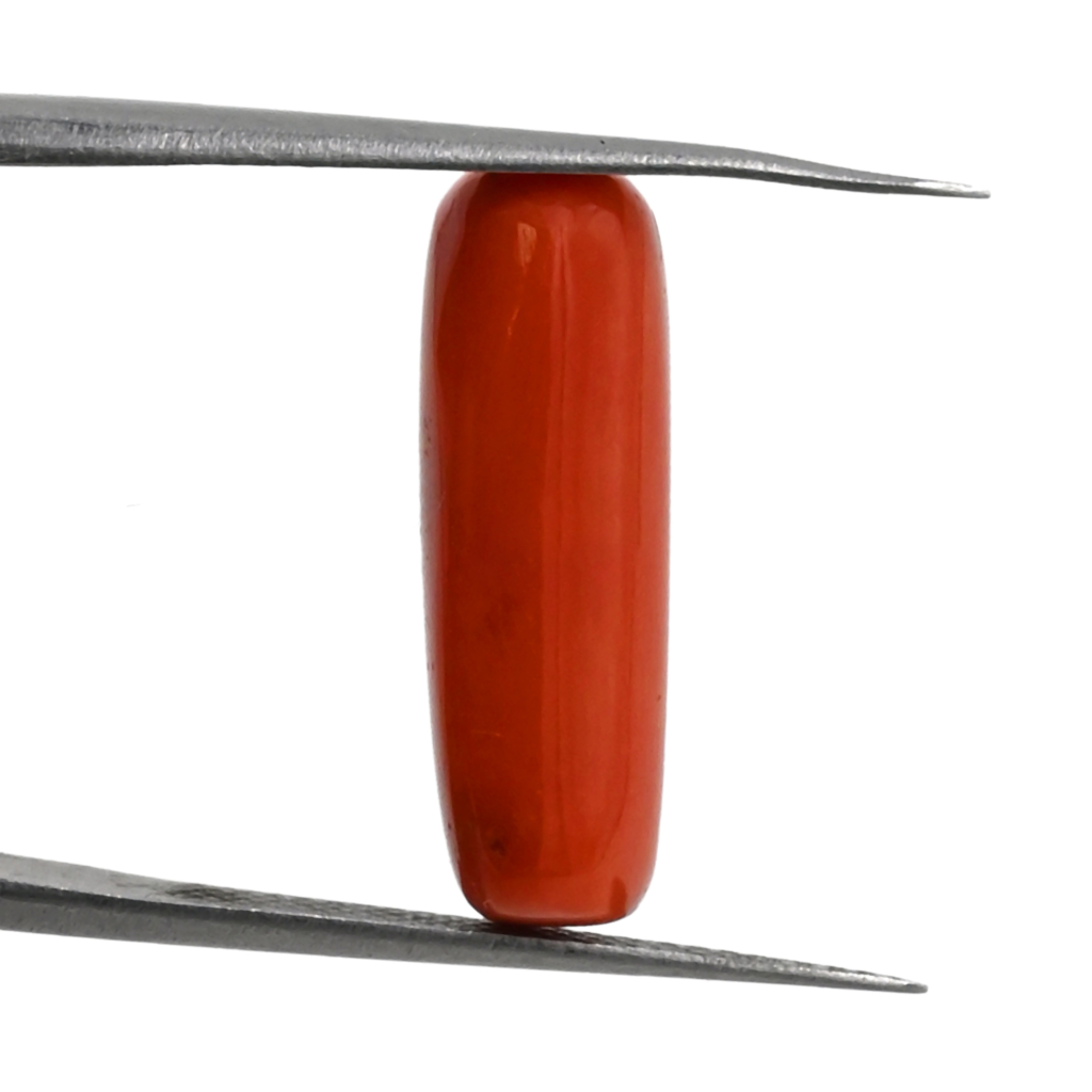 Italian Red Coral (Moonga)  7X20 MM 8.60 Carat