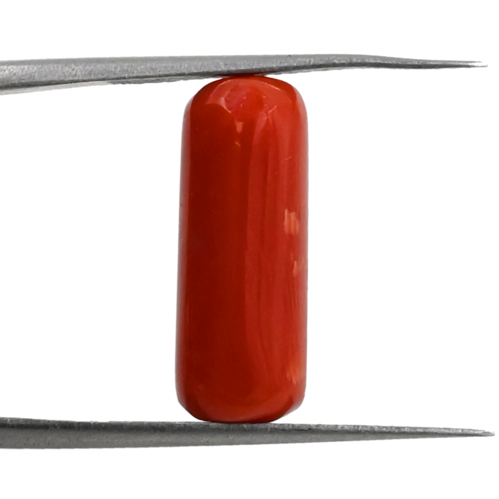 Italian Red Coral (Moonga) 7X18MM 7.20 Carat