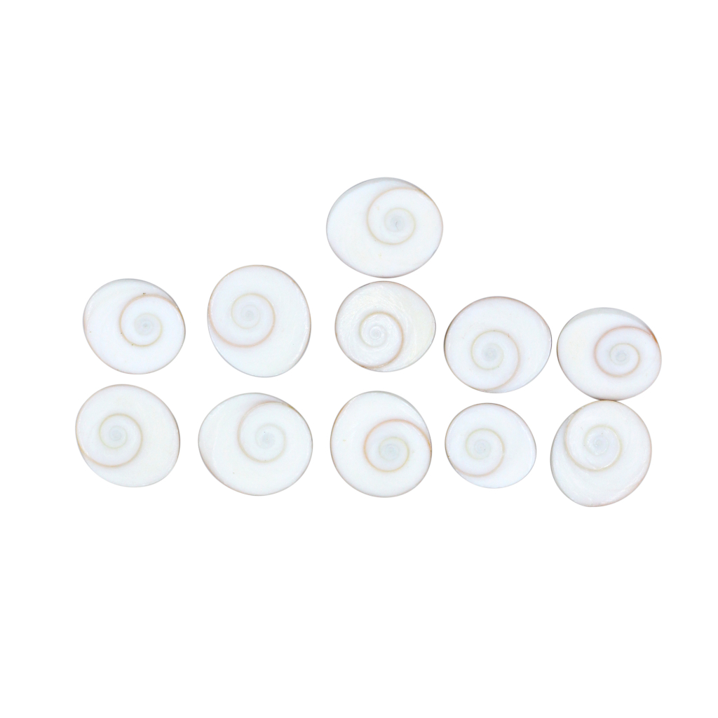11 Pcs Gomti Chakra Shell for Wealth, Vastu & Puja