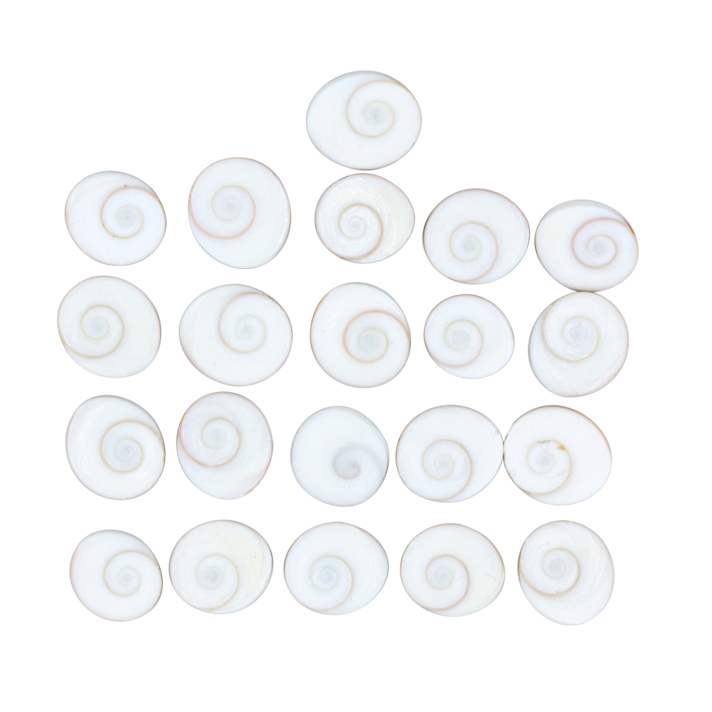 21 Pcs Gomti Chakra Shell for Wealth, Vastu & Puja